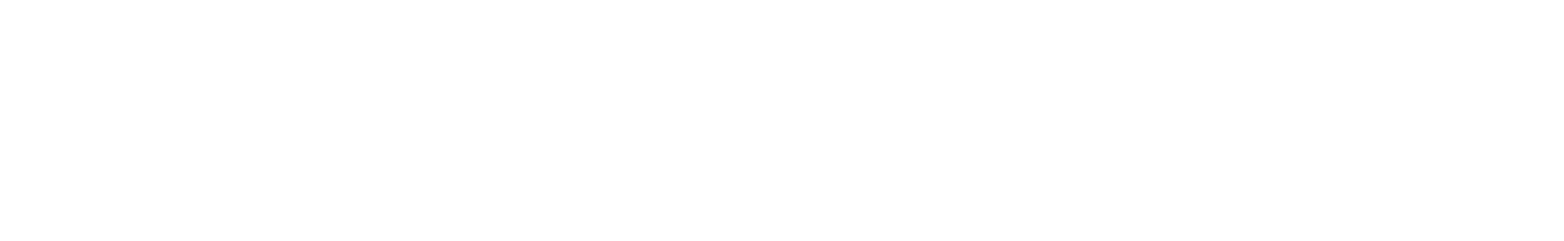 Cross Section Capital Logo